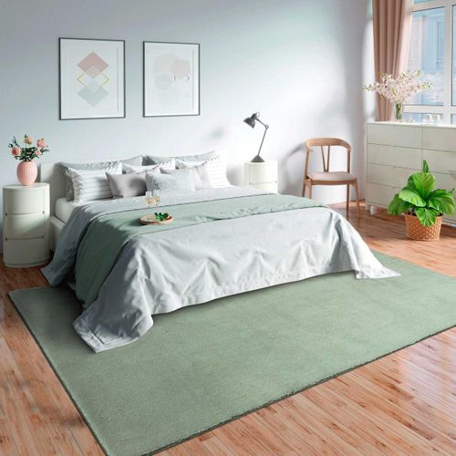Tapis Grand Salon 200x280 Lyn10 Lavable Vert Clair Uni, Tapis Shaggy à Longs Poils