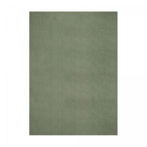 Tapis Cuisine 120x160 Lyn10 Lavable Vert Uni, Tapis Shaggy à Longs Poils