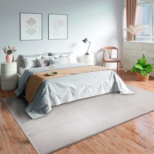 Tapis Salon 160x220 Lyn10 Lavable Argent Uni, Tapis Shaggy à Longs Poils