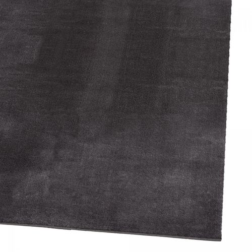 Tapis Chambre Lyn10 Lavable 120x160 Soyeux Et Doux, Tapis Anthracite Uni à L'aspect Shaggy