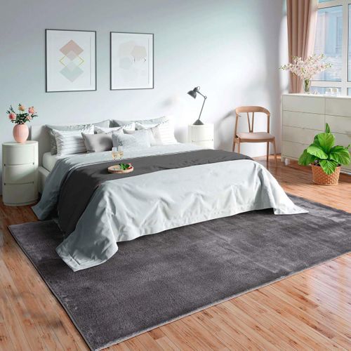 Tapis Salon Lyn10 Lavable 160x220 Soyeux Et Doux, Tapis Anthracite Uni à L'aspect Shaggy