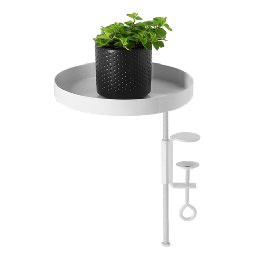 Plateau Rond Pour Rebord De Fenêtre - Blanc - Taille M - D 18 Cm