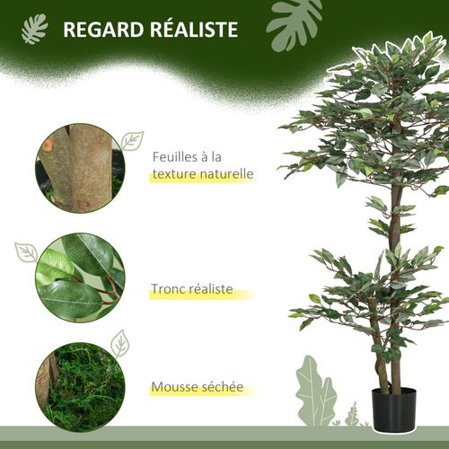 Plante Artificielle Ficus Phil Vert Et Noir