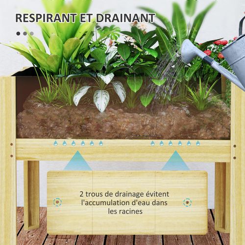 Jardinière Sur Pied Design 2 Panneaux Acryliques Transparents Bois Sapin Pré-huilé