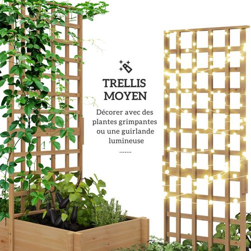 Jardinière Avec Treillis Bois Sapin Pré-huilé