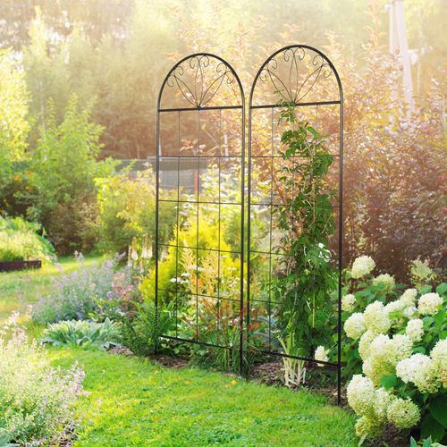 Lot De 2 Treillis De Jardin - Dim. 51l X 152h Cm - Métal Époxy Noir