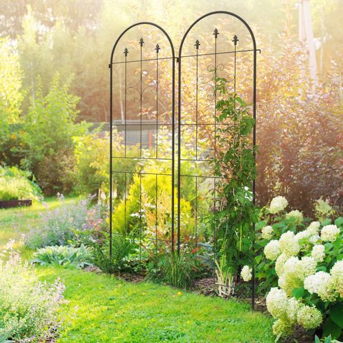 Lot De 2 Treillis De Jardin Support Pour Plantes Grimpantes Acier Noir