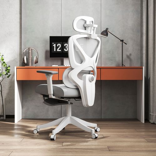 Chaise De Bureau Ergonomique Inex Gris