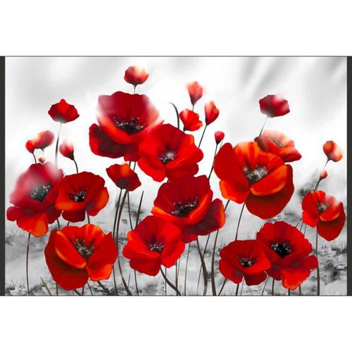 Papier Peint Coquelicots Au Clair De Lune 400 X 280 Cm Rouge