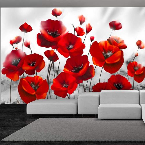 Papier Peint Coquelicots Au Clair De Lune 300 X 210 Cm Rouge