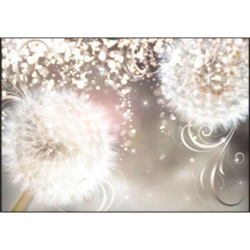 Papier Peint Pissenlits Envoûtés 350 X 245 Cm Blanc