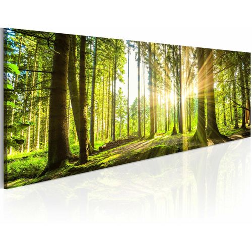 Tableau Lumière Du Jour 120 X 40 Cm Vert