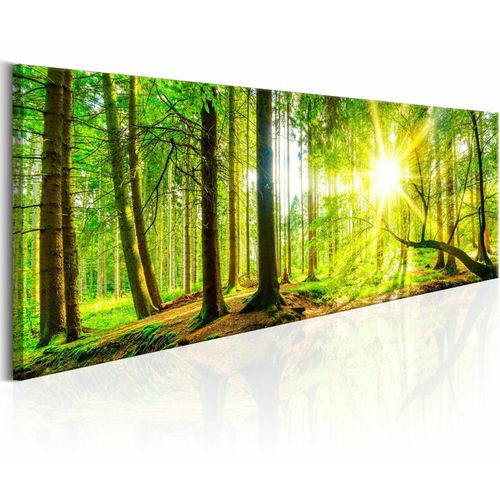 Tableau Arbres Majestueux 120 X 40 Cm Vert