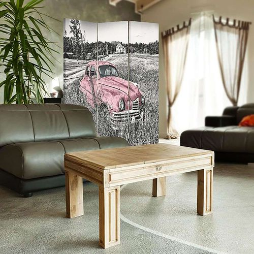Paravent Déco Vintage Voiture Rose En Campagne 3 Panneaux 110 X 150 Cm - 2 Faces R° V° Rose