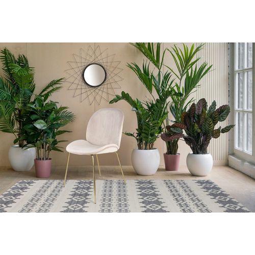 Chaise Rembourrée Assise Beige Clair Pieds Doré (lot De 2)