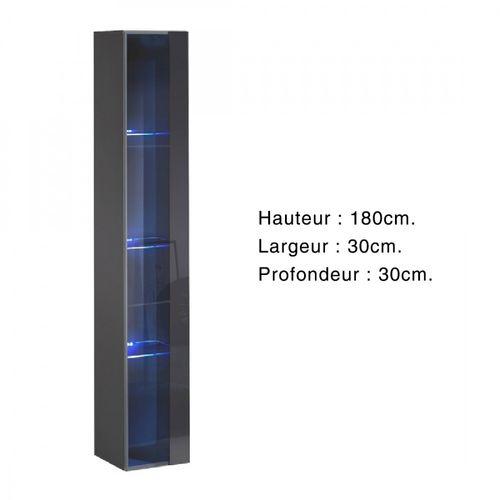 Vitrine Suspendue – Gris – Collection Switch – Porte Vitrée Et LED Inclus – Grand Modèle