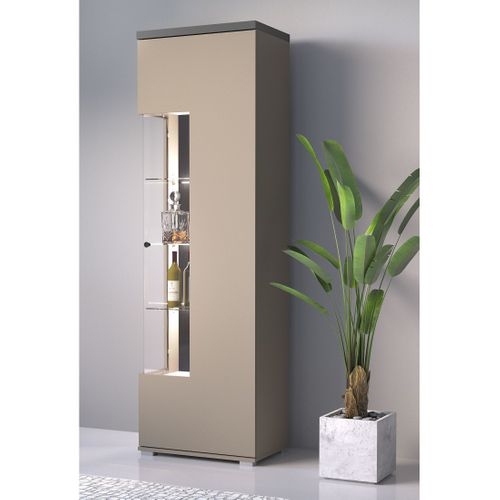 Vitrine 1 Porte Collection  Ness – Finition Congo et Anthracite – 10 Niches De Rangement – Sans LED