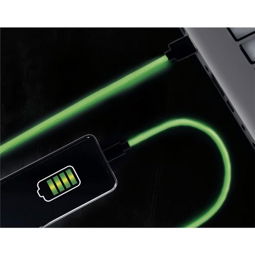 Câble USB Type C "phosphorescent" 200cm Vert