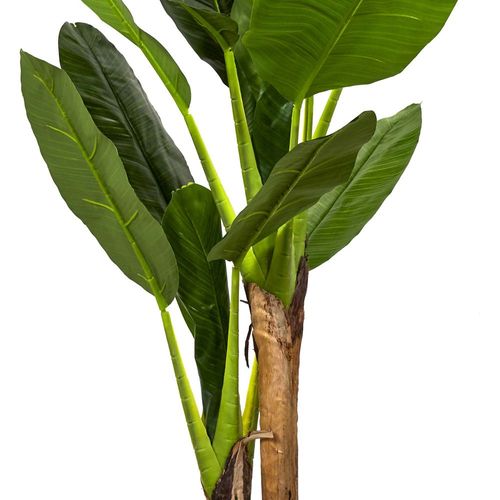Bananier Artificiel En Pot 160 Cm