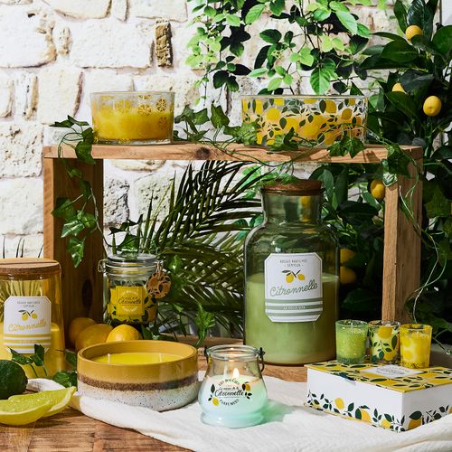 Bougie Parfumée "céramique" 330g Citronnelle