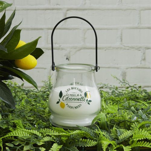 Bougie Parfumée Antimoustique "couleur" 200g Citronnelle