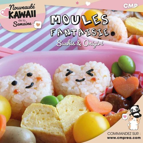 Lot De 2 Moules à Sushi "forme" 14cm Transparent