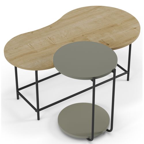 Set De 2 Tables Basses, Tables De Salon Aspect Bois Coloris Chêne, Vert Et Métal Coloris Noir