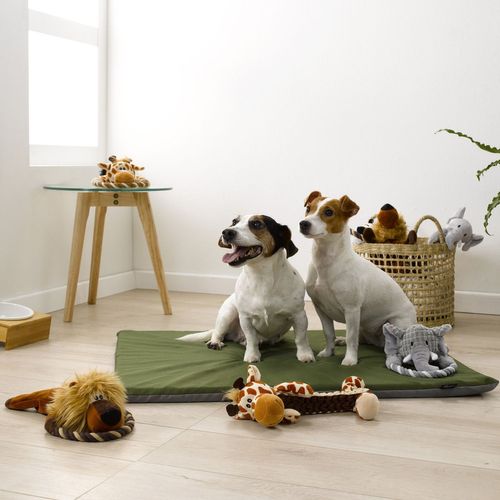 Peluche Tigre Avec Corde Pour Chien - Marron