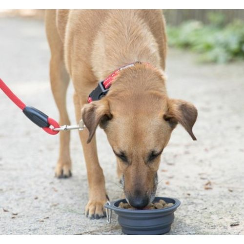 Gamelle De Voyage Rétractable Avec Mousqueton