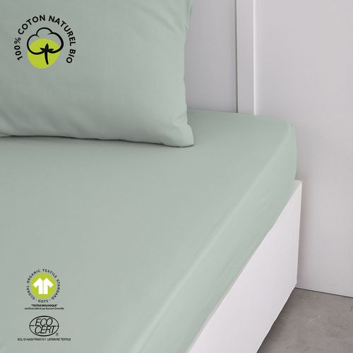 Drap Housse 2 Places - 100% Coton Bio - 160 X 200 Cm - Vert Céladon