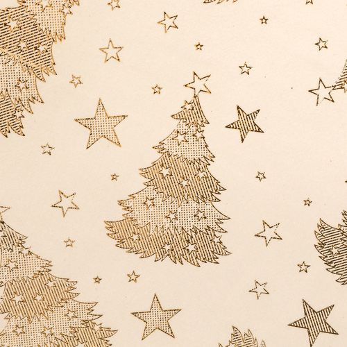 Lot De 2 Sets De Table En Velours Sapin - Or