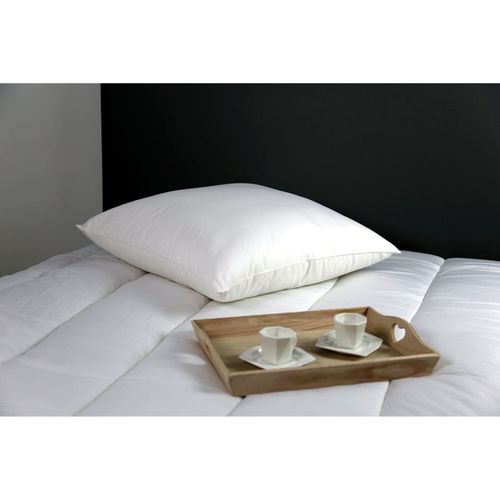 Lot De 2 Oreillers Microstar Médium Anti-acariens "dodo"