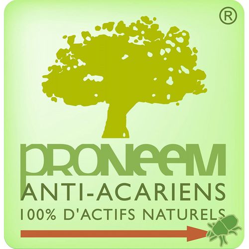 Oreiller Moelleux Antiacariens Proneem® Fibre Volupt'air® Dodo