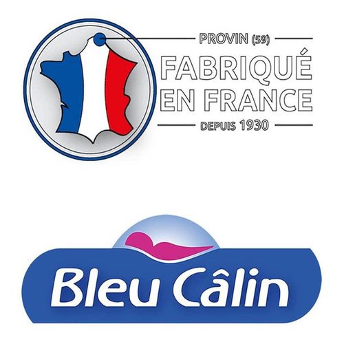 Lot De 2 Oreillers 60 X 60 Cm "protection Totale Anti-acariens" Bleu Calin