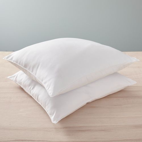 Lot De 2 Oreillers 60 X 60 Cm Blanrêve Gamme "douceur" Traité Anti Acarien Soft et Care