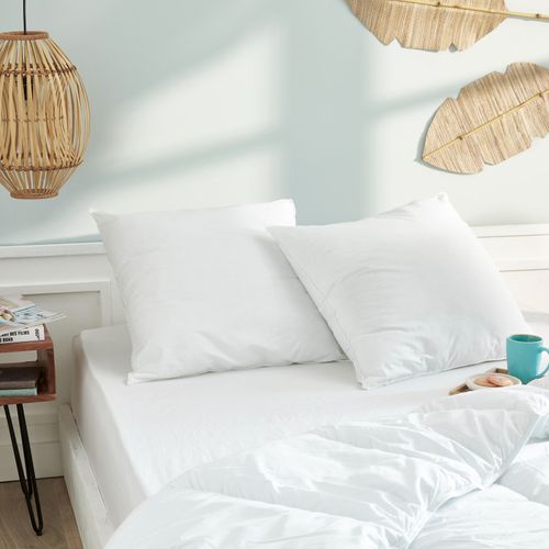 Lot De 2 Oreillers 60 X 60 Cm Blanrêve Gamme "douceur" Traité Anti Acarien Soft et Care