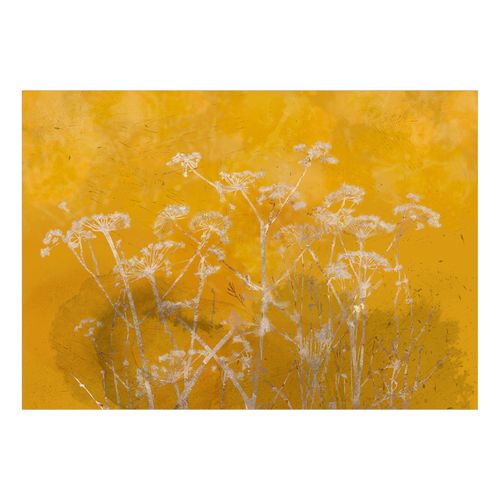 Papier Peint Meadow Bathed In The Sun 450 X 315 Cm Jaune