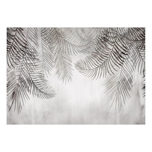 Papier Peint Night Palm Trees 450 X 315 Cm Gris