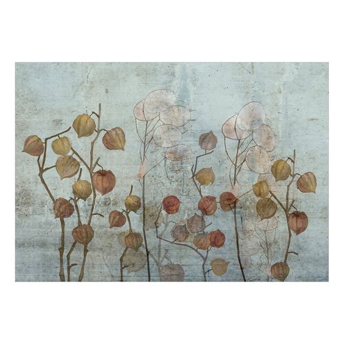 Papier Peint Painted Lunaria 400 X 280 Cm Gris