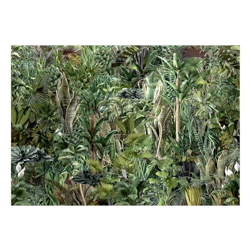 Papier Peint Richness Of Jungle 450 X 315 Cm Vert
