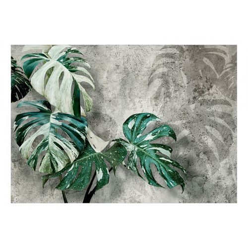 Papier Peint Variegata 250 X 175 Cm Gris