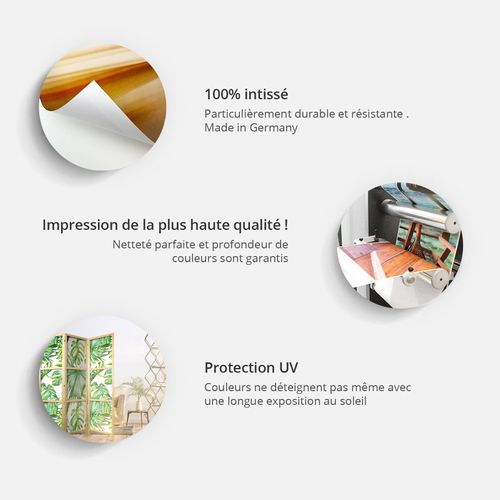 Paravent Japonaisn Un Temple