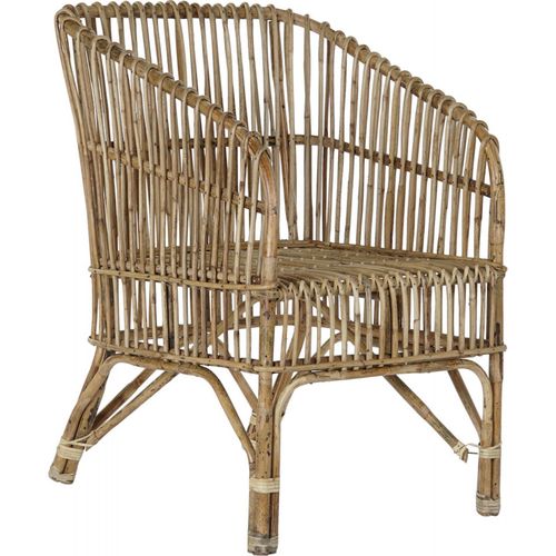 Fauteuil Élégant Rotin Naturel Pour Salon Cosy