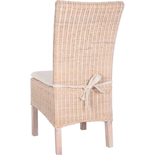 Fauteuil Élégant En Osier Blanc Et Coussin Moelleux