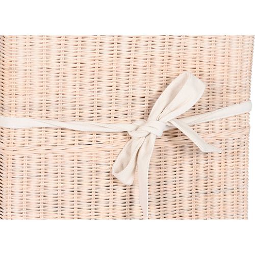 Fauteuil Élégant En Osier Blanc Et Coussin Moelleux