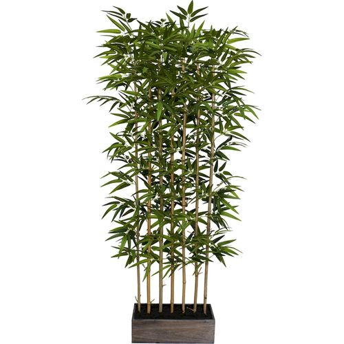 Séparateur Bambou Vert Décoratif Pour Intérieur Élégant