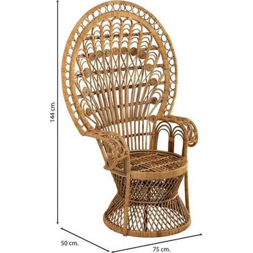 Fauteuil En Rotin Naturel Style Paon Avec Accoudoirs