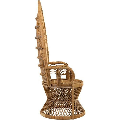 Fauteuil En Rotin Naturel Style Paon Avec Accoudoirs