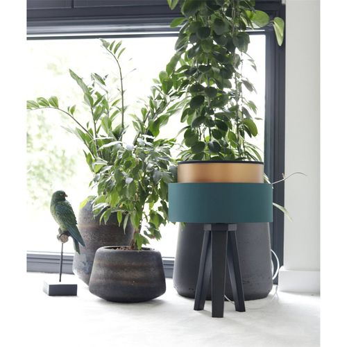 Lampe à Poser Design Vert Bouteille Effet Cuivré Élégant