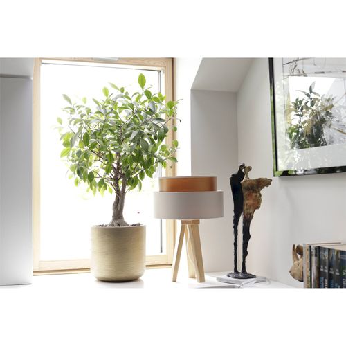 Lampe à Poser Élégante Effet Cuivre Satin Et Textile Crème